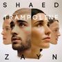 SHAED/ZAYN Trampoline